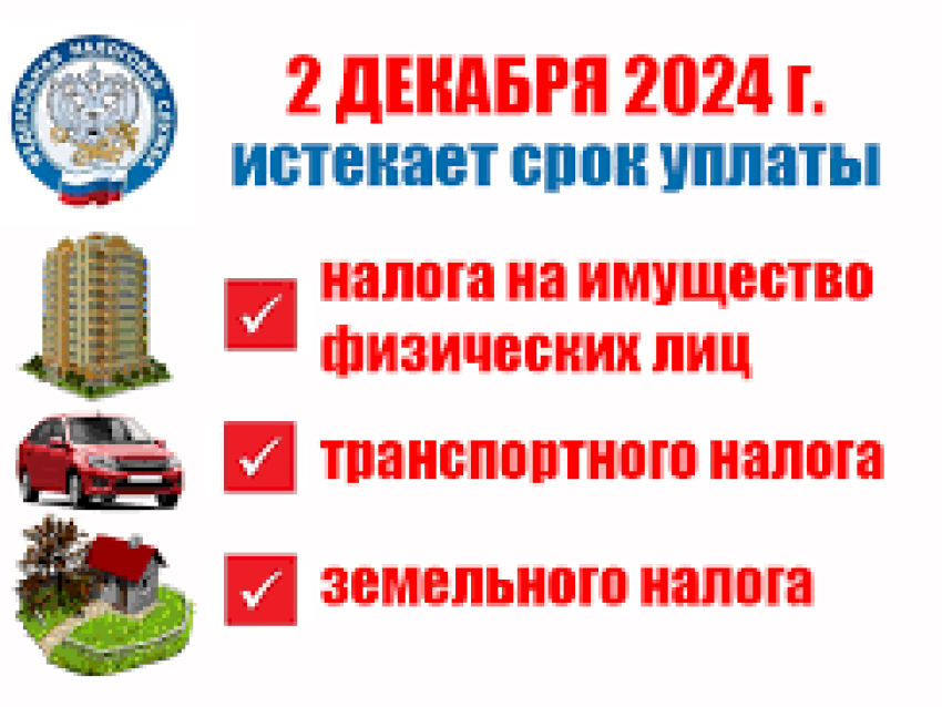 Не забудьте заплатить налоги до 2 декабря 2024 года!.