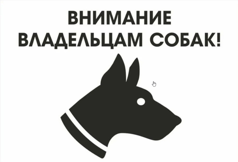 УВАЖАЕМЫЕ ВЛАДЕЛЬЦЫ СОБАК!.