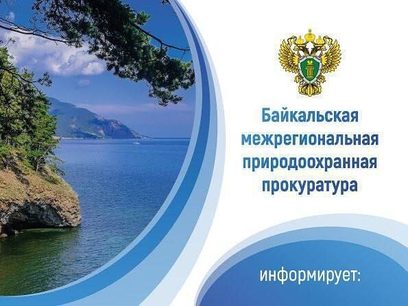 По требованию природоохранной прокуратуры виновное лицо возместило вред от лесного пожара. По требованию природоохранной прокуратуры виновное лицо возместило вред от лесного пожара.